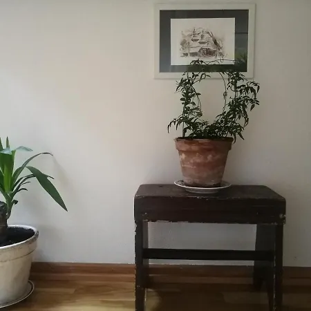 Green Vagon, Farm For Rent * Hjørring