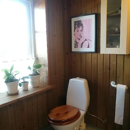Green Vagon, Farm For Rent * Hjørring